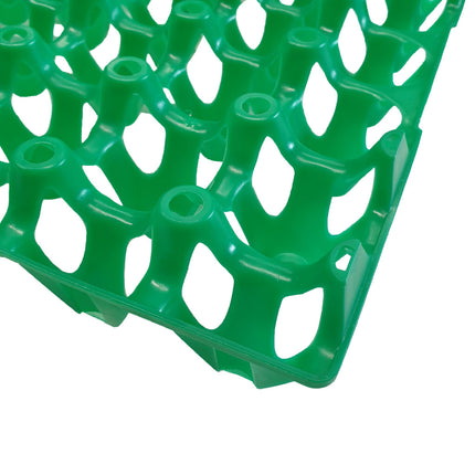Plastic Egg Tray Green