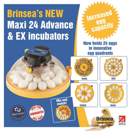 Brinsea Maxi 24 EX Incubator