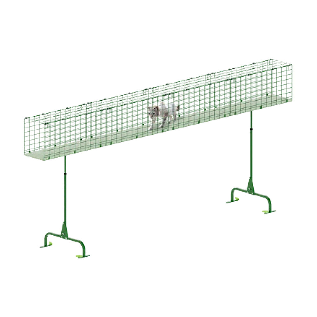 Catio tunnel system illustration example