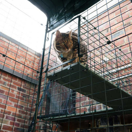 Catio Tunnel Systems allow your cats safe passage to and from their outdoor catio enclosure and indoors