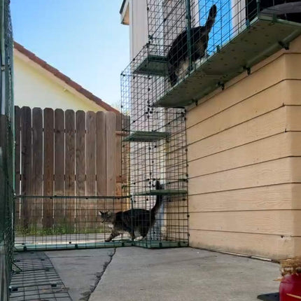 New found freedom with the catio tunnel system