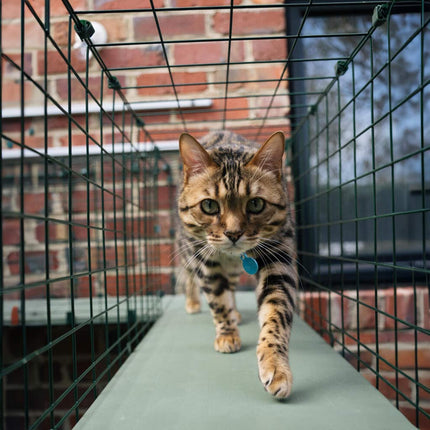 The catio tunnel system allows more freedom to move safely from the inside out and back again