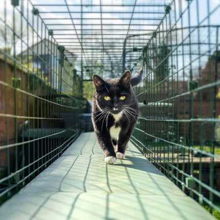 Catio tunnel system for cats. Connect your outdoor cat enclosure to your home