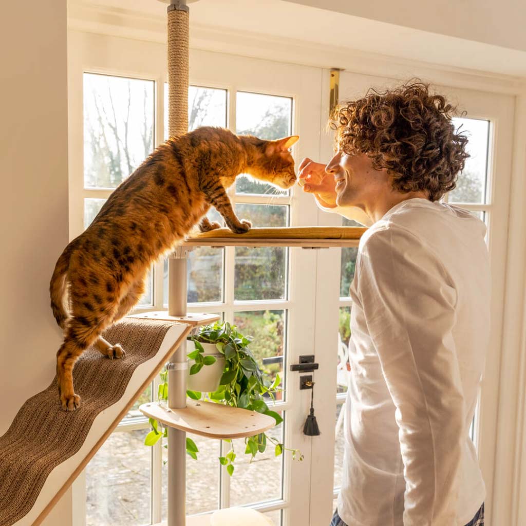 Freestyle Cat Tree