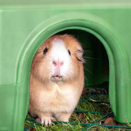 Zippi Guinea Pig Shelters offer a place where they can feel secure, settled and relaxed.