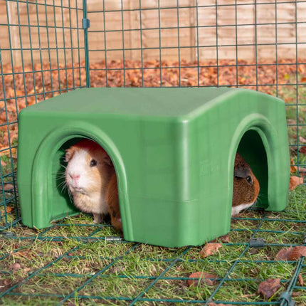Guinea Pig Shelter | Zippi