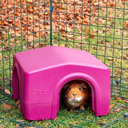 Guinea Pig Shelter | Zippi. Available in green and purple, matching the Eglu Guinea Pig and Rabbit  Hutches