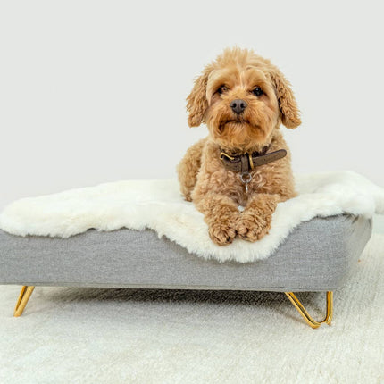 Topology | Luxury Dog Bed With Customisable Toppers and Feet