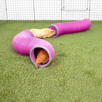 The plastic tube can be curved to add intrigue and the included chew-resistant end rings extend the life of the tunnels