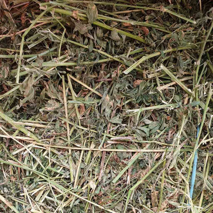 Lucerne Hay. We do not fumigate our hay. It is cut and baled in the paddock and stored undercover in our hayshed.