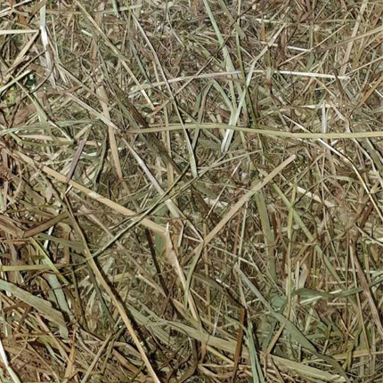 Meadow Hay, Good quality, delicious rabbit and guinea pig feed. Organic and locally grown, clean, quality hay