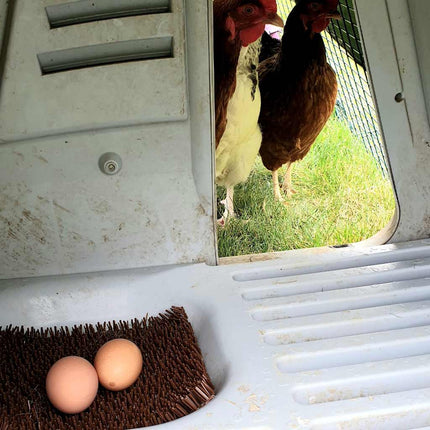 Nest Box Liner | Eglu Go & Go UP Chicken Coops