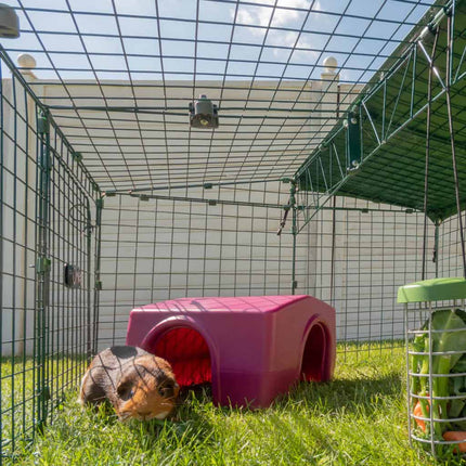 The Zippi shelter can also be used as a fun and enriching accessory toy in the run of an Eglu Go Hutch or Outdoor Guinea Pig Run