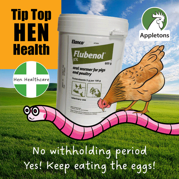 Good hen health is essential for tip top eggs