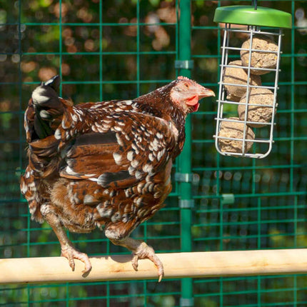 PoleTree Chicken Perch | The Hensemble Kit - 1.70 - 2.15m