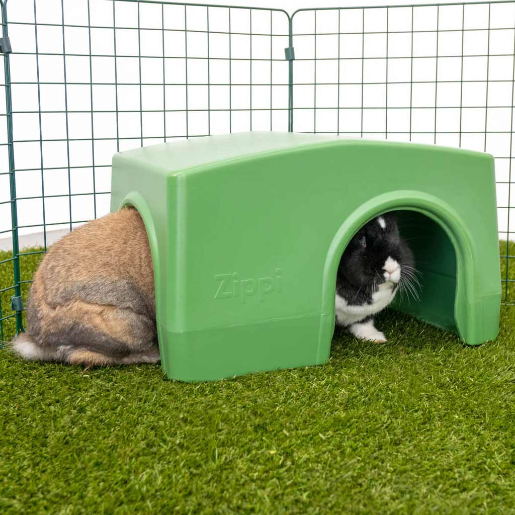 Small Rabbit Shelters Rabbit Shelter | Zippi