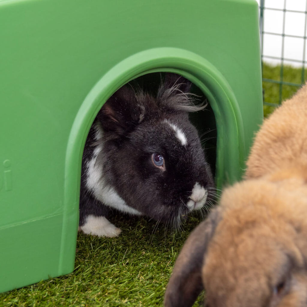 A Zippi Rabbit Shelter offers a place where your bunnies can feel secure, settled and relaxed