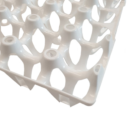 Plastic Egg Tray For 30 Chicken Eggs White