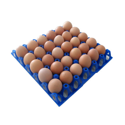 Egg Tray 30 egg cell plastic