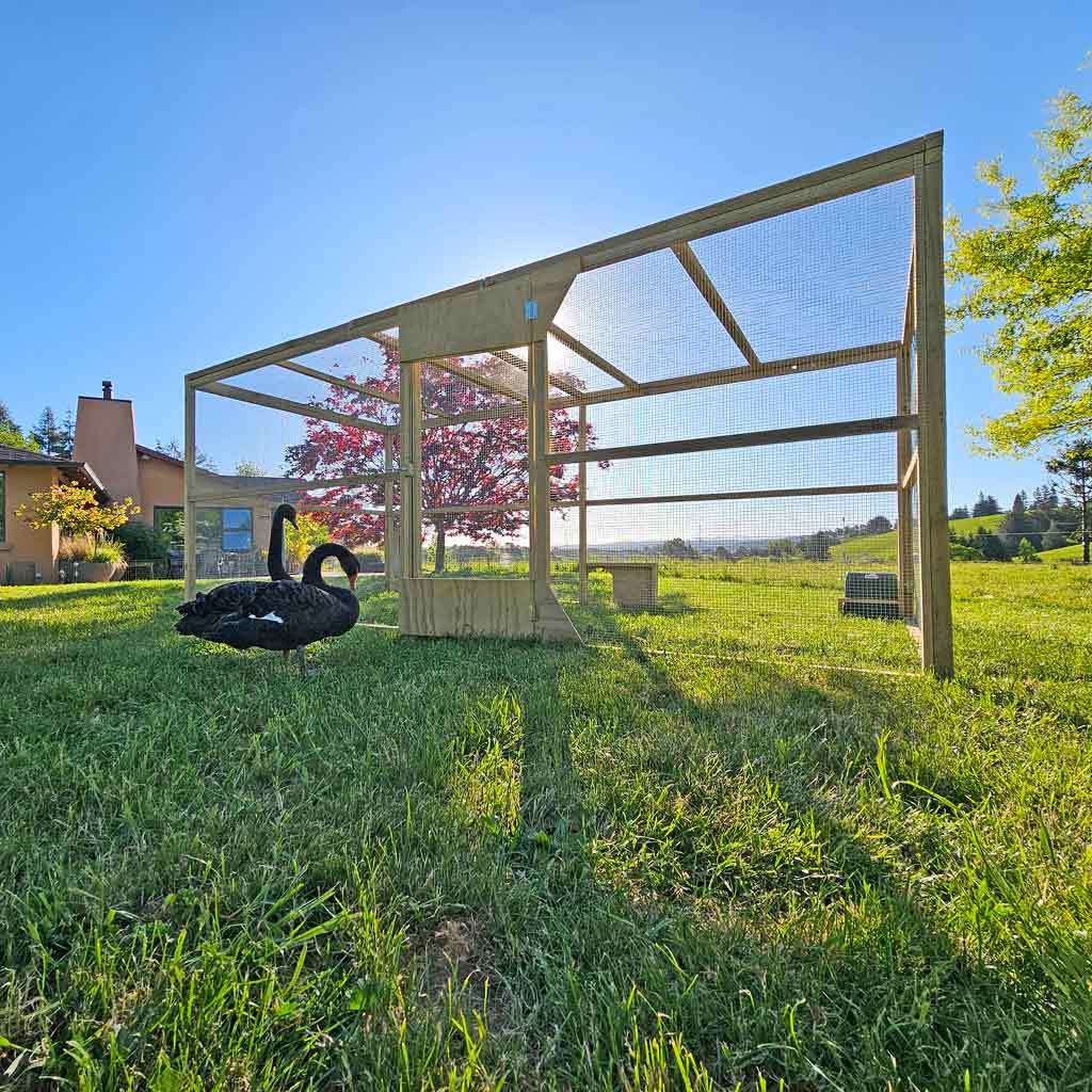 Secure stylish and spacious Appletons Extended Walk-In timber Chicken Run