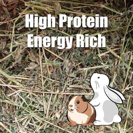 High protein and energy rich Appletons lucerne hay for rabbits, guinea pigs, small pets