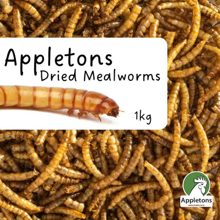 Appletons 1kg premium dried mealworms for chickens, pheasant and other insect-eating birds