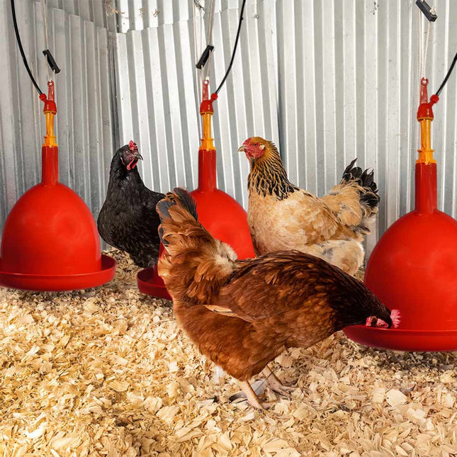 Poultry bell drinker large ballast hanging automatic