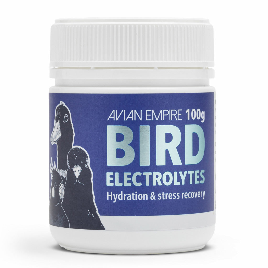 water-soluble electrolyte and energy supplement for birds formulated to support hydration recovery and overall well-being in all species