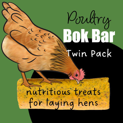 Nutritious bok bar treats for your laying hens