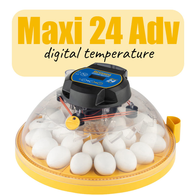 Brinsea Maxi 24 Advance incubator