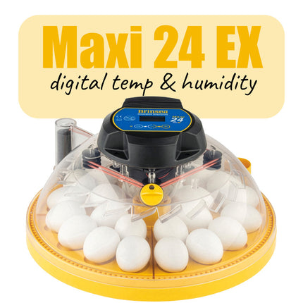 Brinsea Maxi 24 EX incubator
