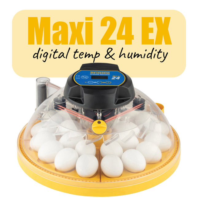 Brinsea Maxi 24 EX incubator