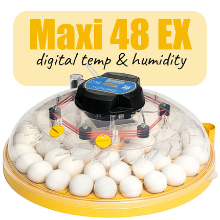 Brinsea Maxi 48 EX incubator
