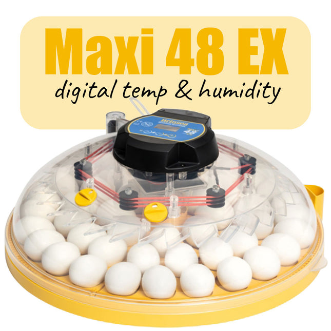 Brinsea Maxi 48 EX incubator