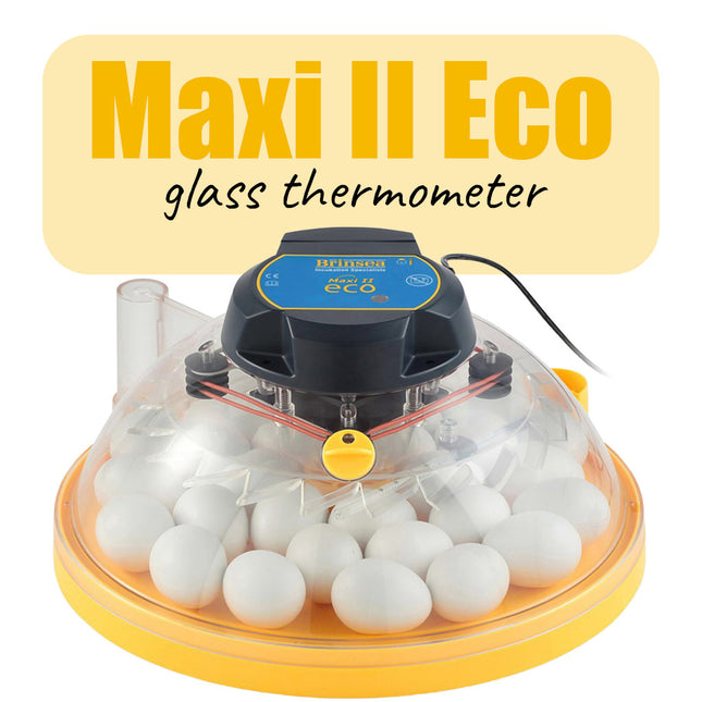 Brinsea Maxi II Eco incubator