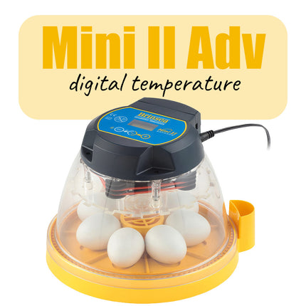 Brinsea Mini II Advance incubator