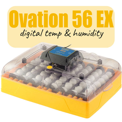 Brinsea Ovation 56 EX incubator