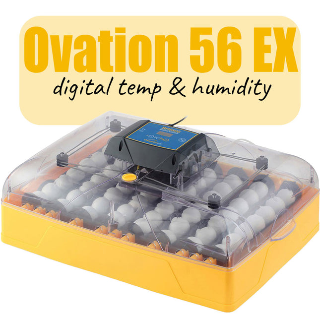 Brinsea Ovation 56 EX incubator