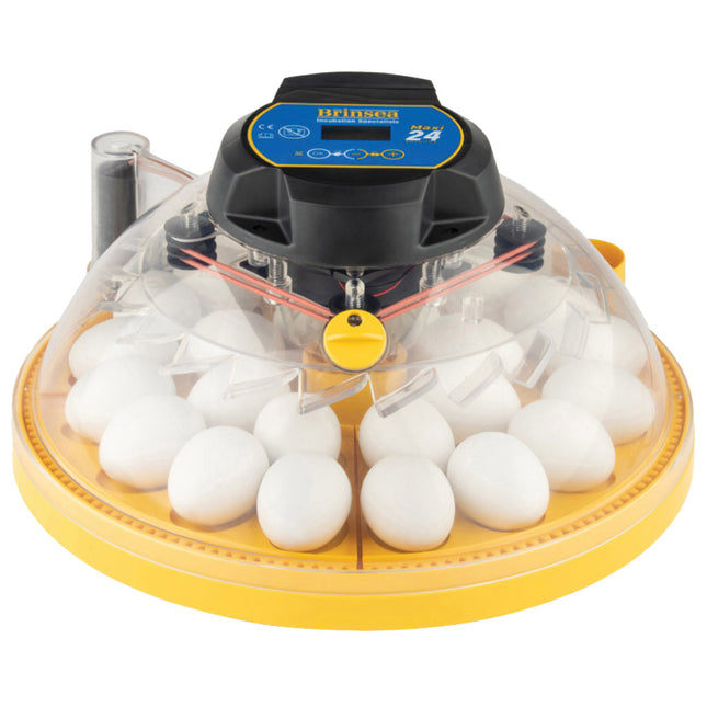 New Maxi 24 EX Incubator | Brinsea
