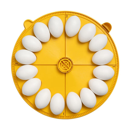 Brinsea's Maxi 48 EX holds 16 goose eggs