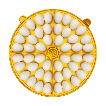 Brinsea's Maxi 48 EX holds 48 hens eggs