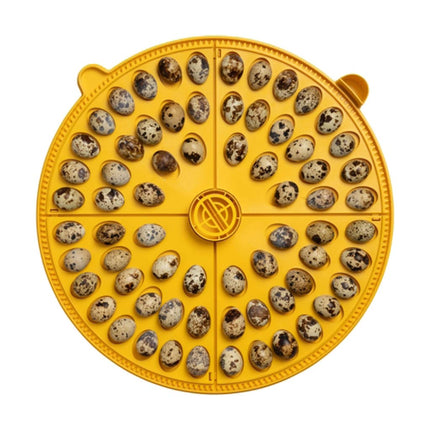 Brinsea's Maxi 48 EX holds 68 quail eggs