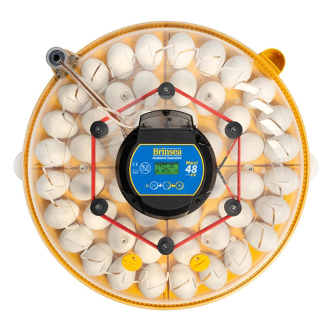 The new Maxi 48 egg incubator has everything you need for the best hatch