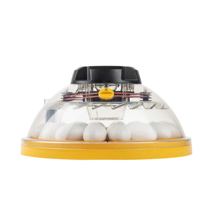 Brinsea Maxi 24 Advance Incubator