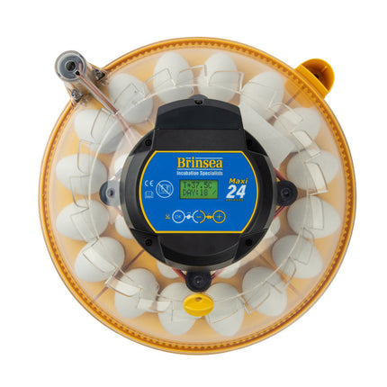 Brinsea Maxi 24 Advance Incubator