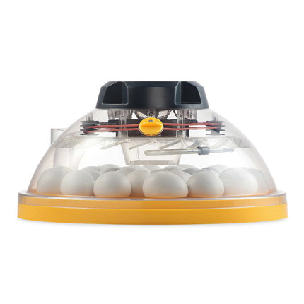 Brinsea Maxi II ECO Incubator