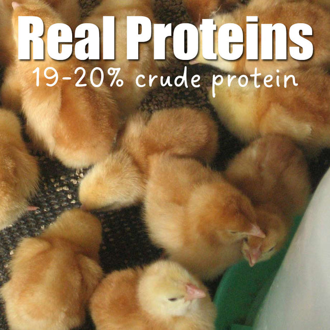 Weston Chicks Choice Real Proteins
