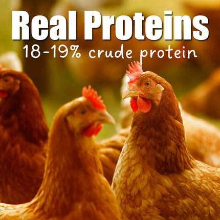 Weston Free Range Layer Real Proteins