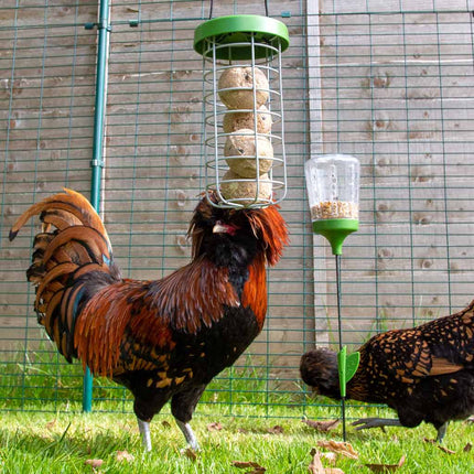 Omlet Caddi Chicken Treat Holder and Peck Toy