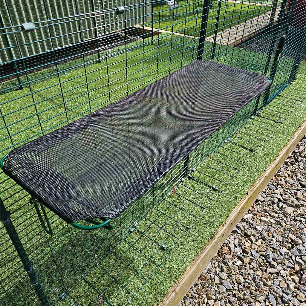 Appletons Cat Shelf black